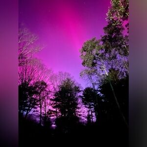 Unlisted item for posh show!